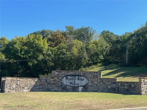 0 Mountain Ridge Rd, Noel, MO 64854