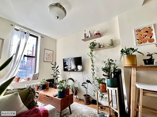 Rented by Native Real Estate LLC | media 2