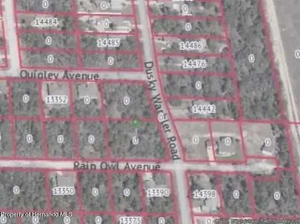 14423 Dusky Warbler Rd, Brooksville, FL 34614