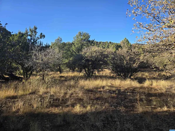 Sanctuary Rd, Silver City, NM 88061