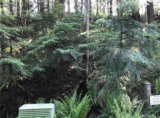14A Black Bear Ct, Bellingham, WA 98229