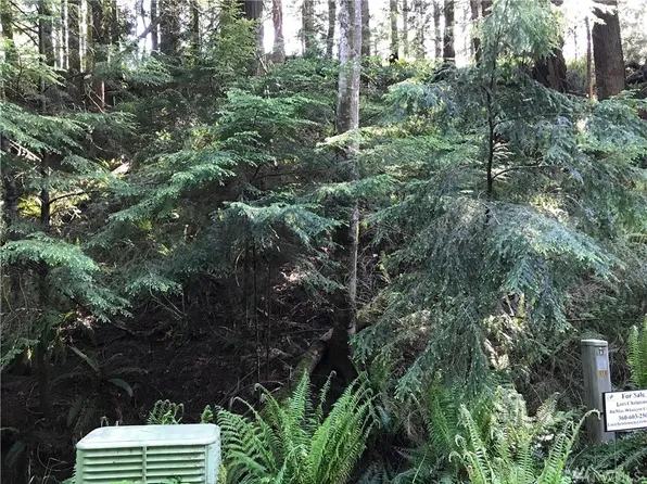 14A Black Bear Ct, Bellingham, WA 98229