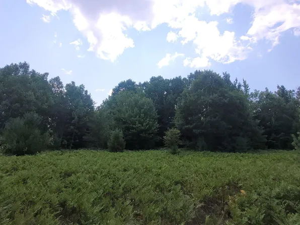 PARCEL Lund Rd SE #D, Fife Lake, MI 49633