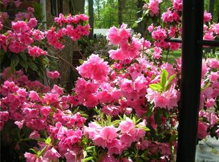 11375 Shannon Dr, Dewitt, VA 23840