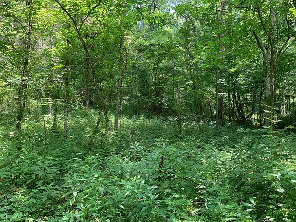 3rd image of 91 Flag Fork Rd