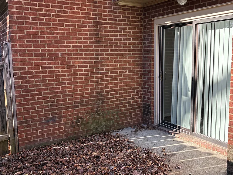 114 B Concord Dr #1 — Photo 11