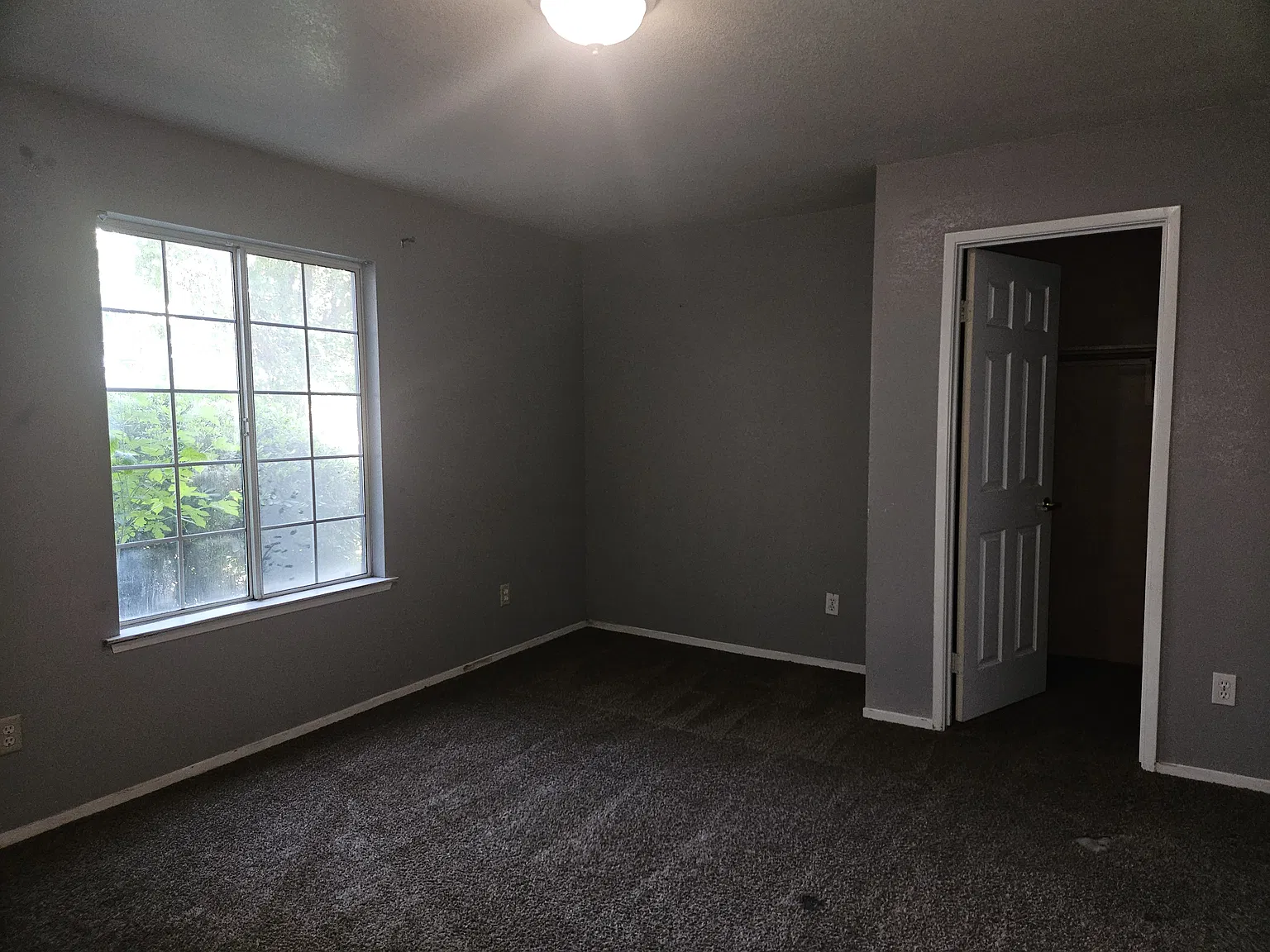 2 bed, $1,350 — Photo 4