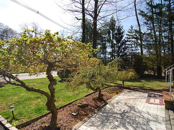 TreeLined Paver Walkway
