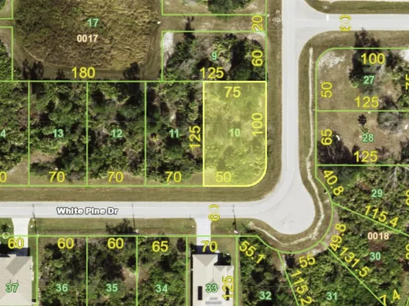 141 WHITE PINE DRIVE LOT 10, ROTONDA WEST, FL 33947