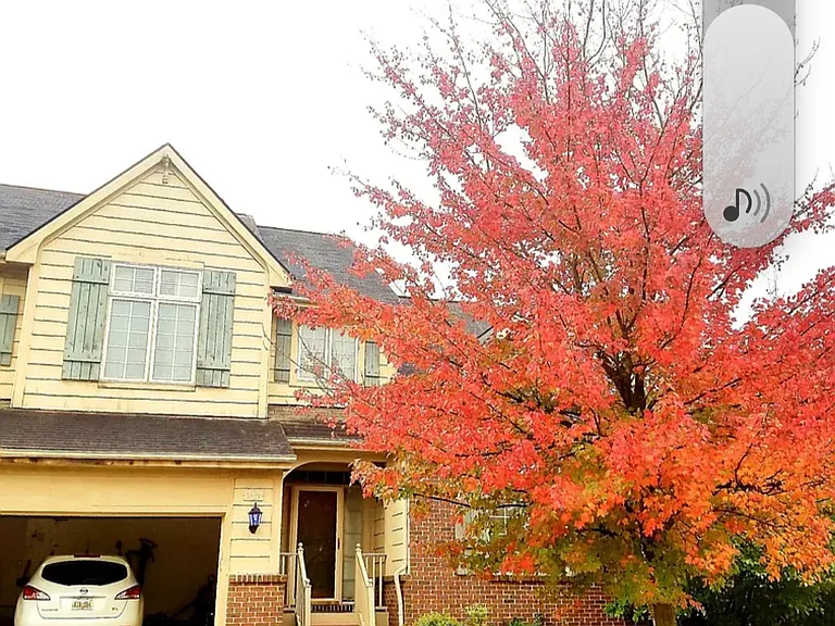5689 Versailles Ave — Photo 26