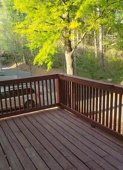 Deck/backyard