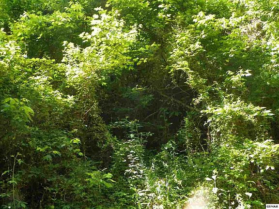 3rd image of 23000231 Mountain Scenic Way