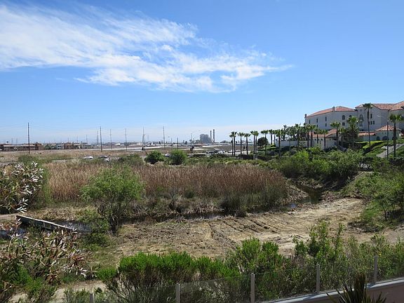 View of Wetlands from Balcony