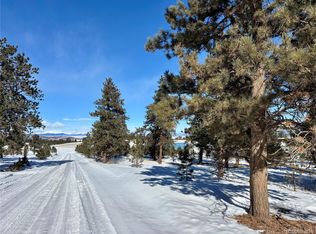 0 Singletree Rd #23, Buena Vista, CO 81211