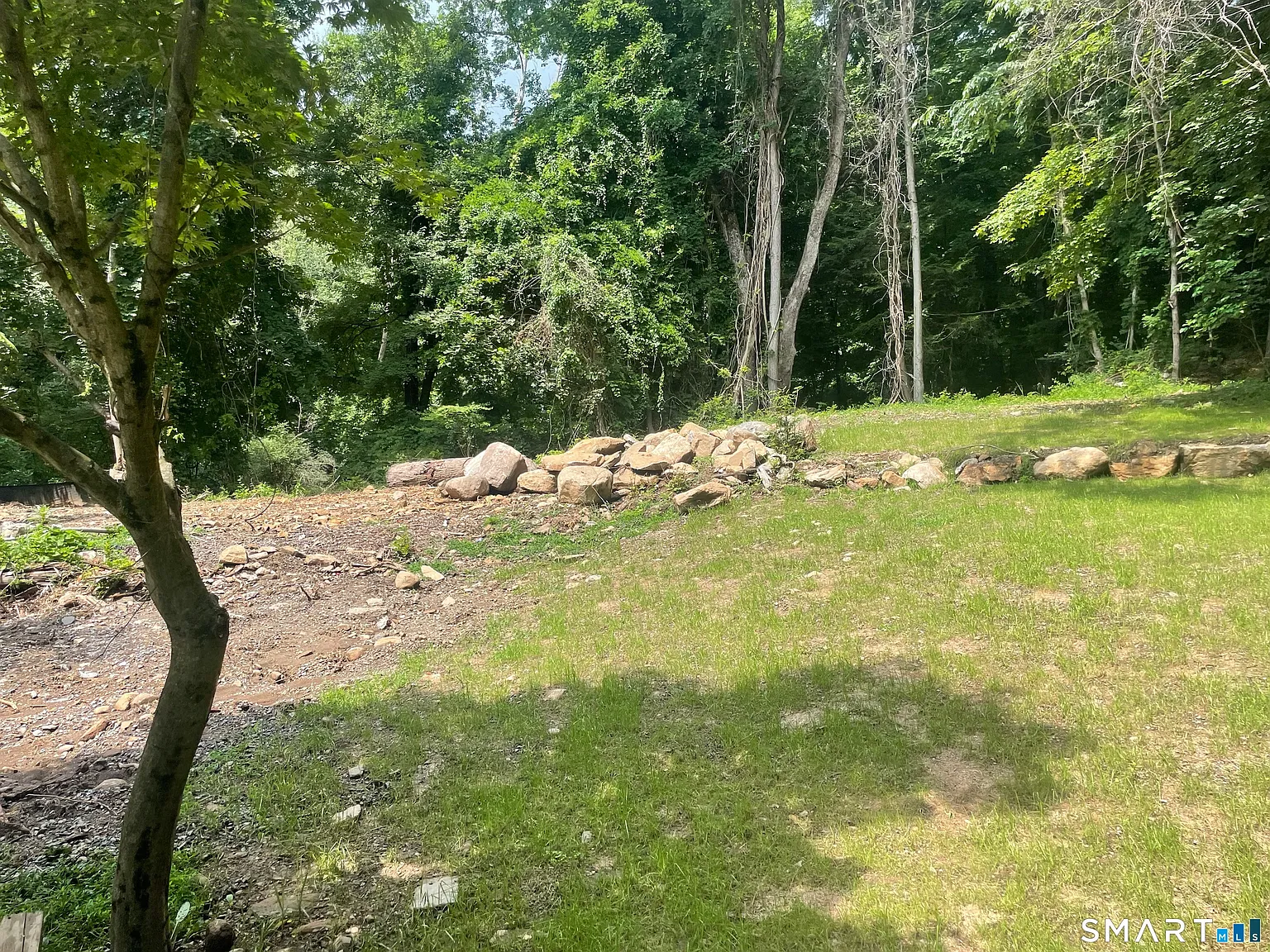 3 bed, 1.0 bath, 802 sqft, $3,150 — Photo 4