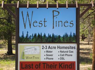 200 Snowshoe Rabbit Dr, Leadville, CO 80461