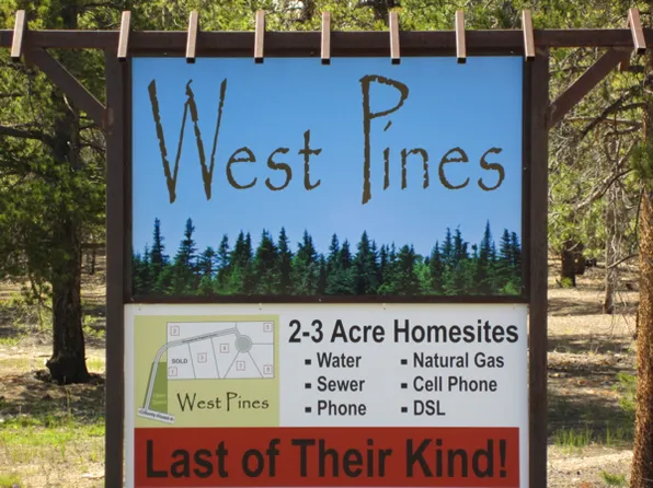 200 Snowshoe Rabbit Dr, Leadville, CO 80461