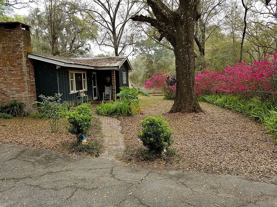 azelaeas in bloom