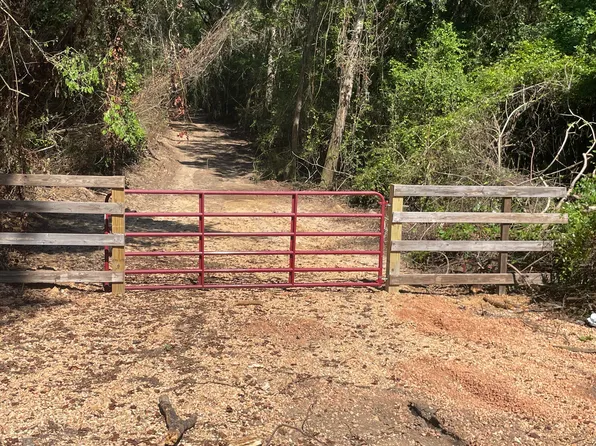 0 Son Thompson Rd, Sandy Hook, MS 39478