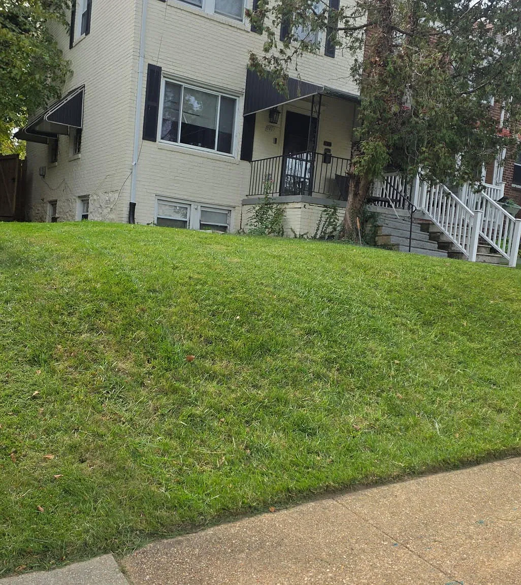 4 bed, 1200 sqft, $2,595 — Photo 4