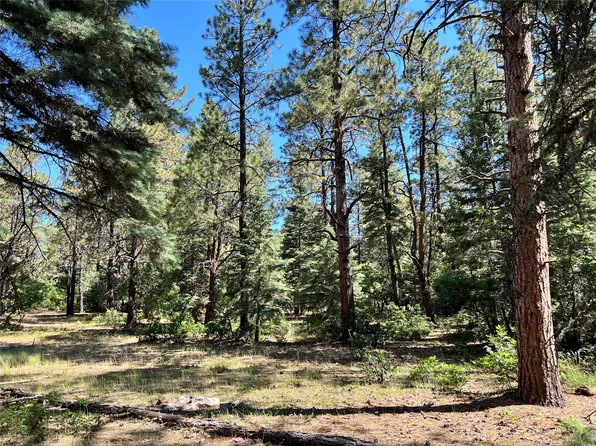 0 Seven #T85-u, Chama, NM 87520
