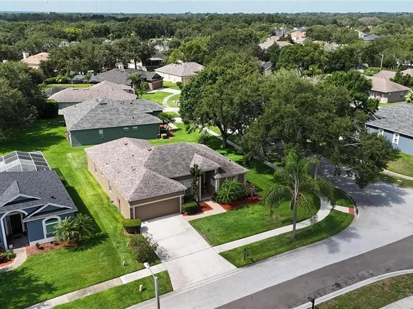 2803 Abbey Grove Dr, Valrico, FL 33594