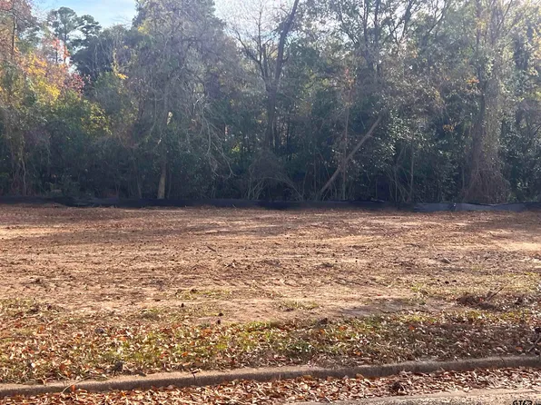 1410 New Forest Dr, Longview, TX 75601