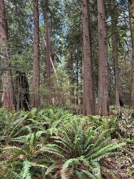 3rd image of 16230 Agate Pass Road LOT B