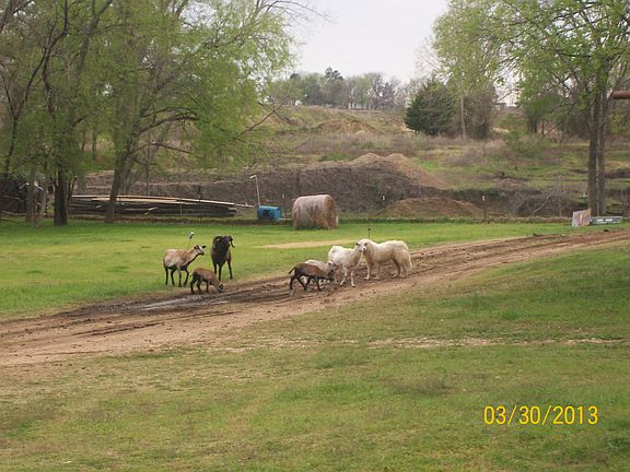 Watching the kids play