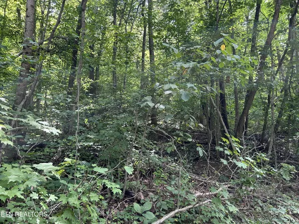 0 Pearl Ln Lot 20, Maynardville, TN 37807