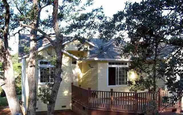 559 Silver Leaf Dr photo 1