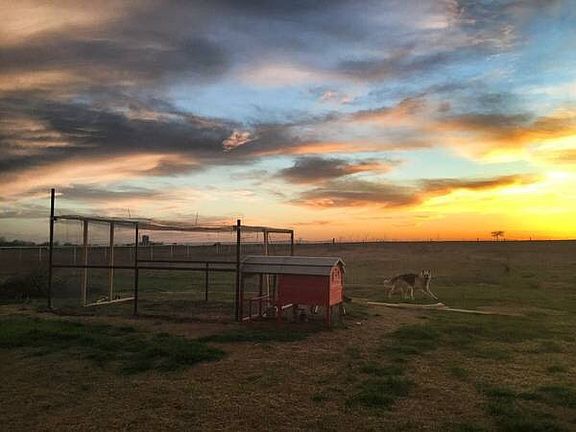 Chicken coop and back acreage