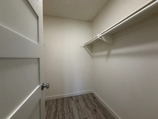 Upgraded Orange 1 Bedrooms — Photo 19