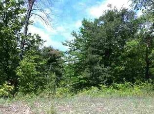 . Goshawk Way, Bellaire, MI 49615