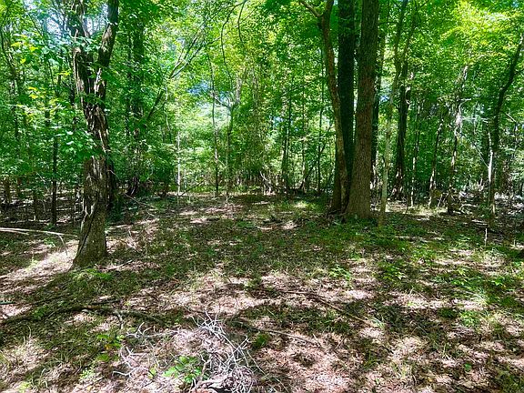 2nd image of 0 Lakehurst Dr
