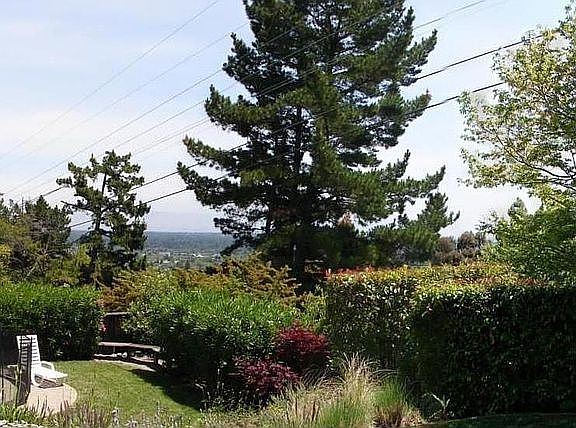 View from the patio - old
