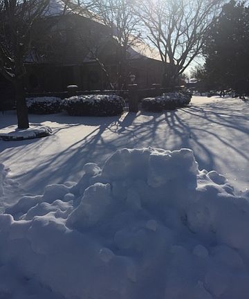 4th image of 15521 Cherry Hills Ct