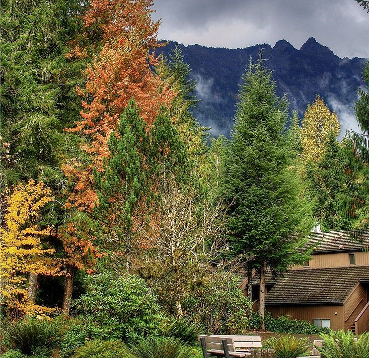 1st image of 10500 Mount Baker Hwy #601