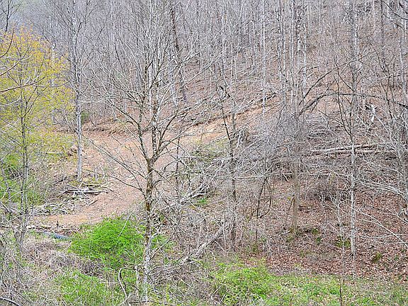 4th image of Snake Run Rd