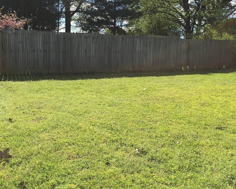 side lawn