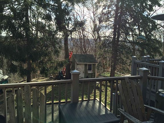 back yard