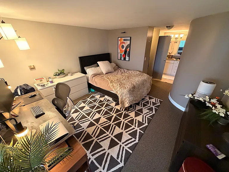 1221 N Dearborn St #411N — Photo 9
