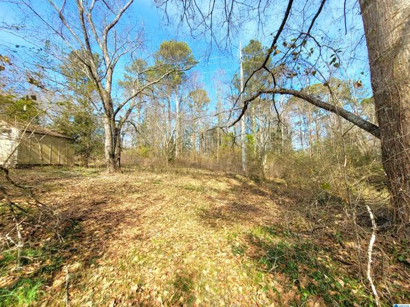 40888 Highway 77, Ashland, AL 36251