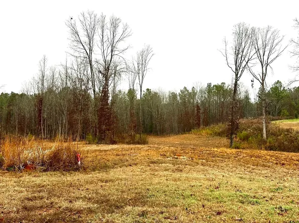 Olivia Ln #14-B, Woodstock, AL 35188