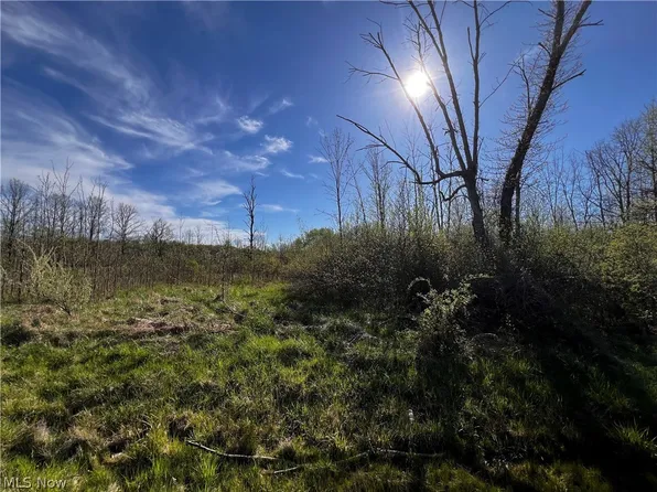 683 Rome Rock Creek Rd, Rock Creek, OH 44084