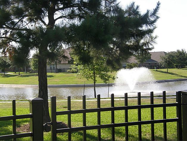 View of lake from backyard