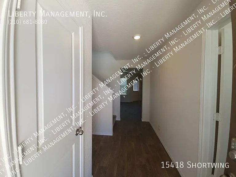 15418 Shortwing — Photo 3