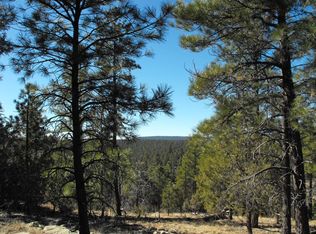 770 Kohners Ridge Dr, Happy Jack, AZ 86024