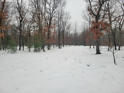 2155 E County Line Rd, Free Soil, MI, 49411