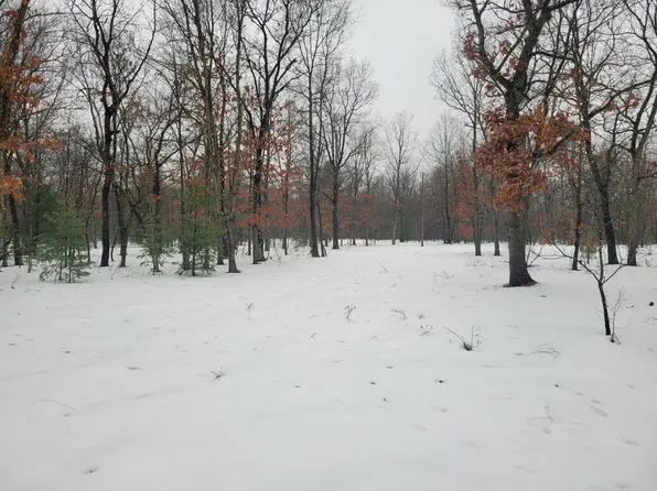 2155 E County Line Rd, Free Soil, MI 49411